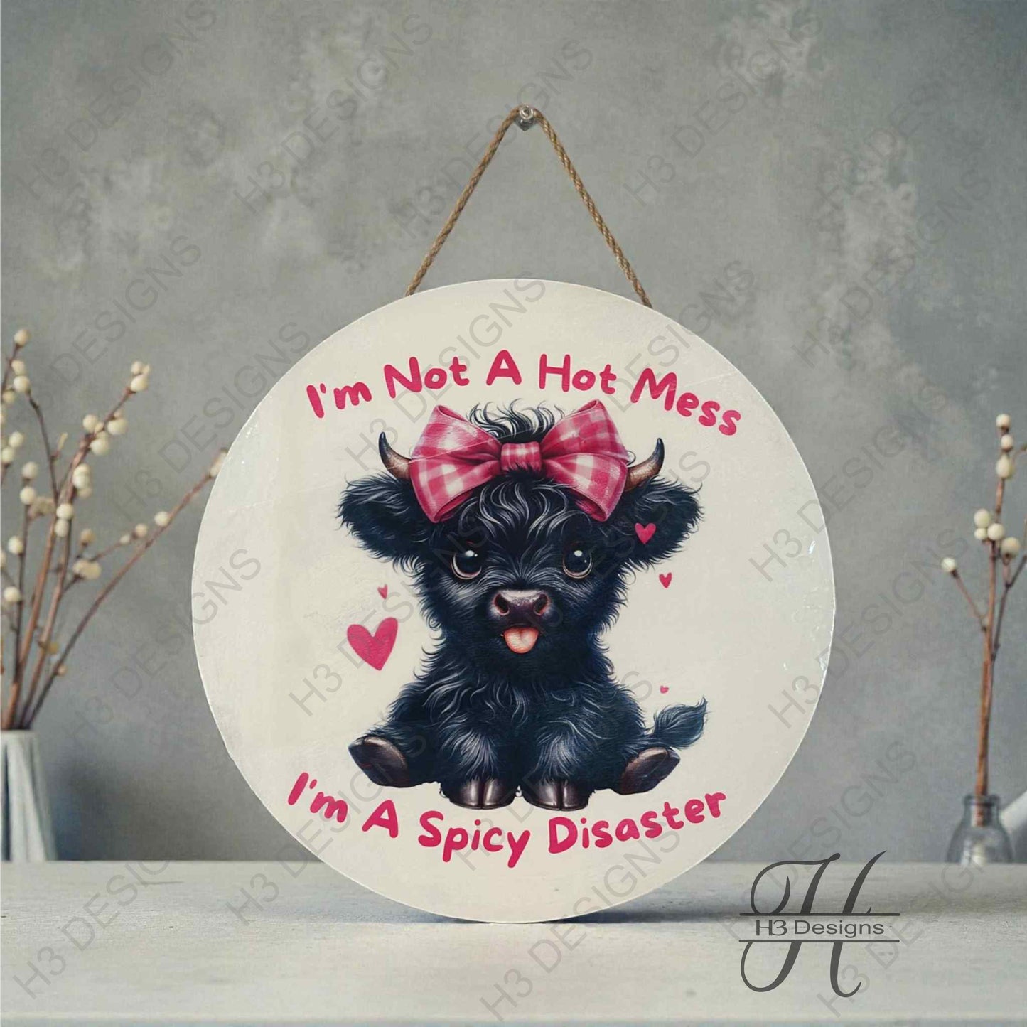 Hot Mess Spicy Disaster Round Sign